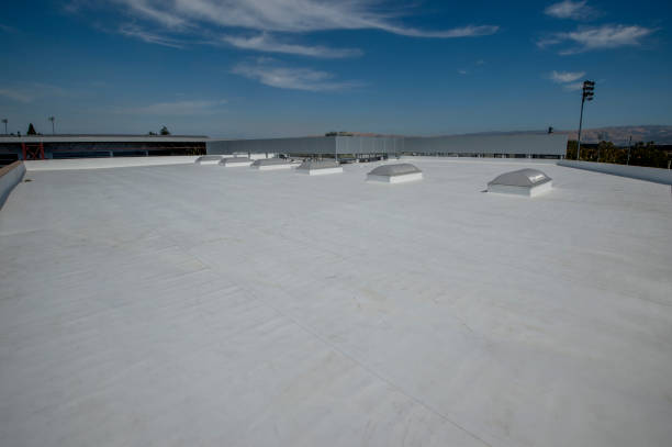 Best Roof Moss and Algae Removal  in Winter Gardens, CA