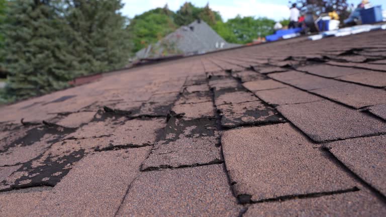 Best Slate Roofing  in Winter Gardens, CA