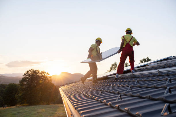 Best Metal Roofing Installation  in Winter Gardens, CA