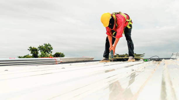 Best Green or Eco-Friendly Roofing Solutions  in Winter Gardens, CA