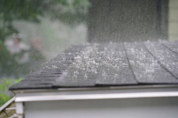 Best Roof Insulation Installation  in Winter Gardens, CA